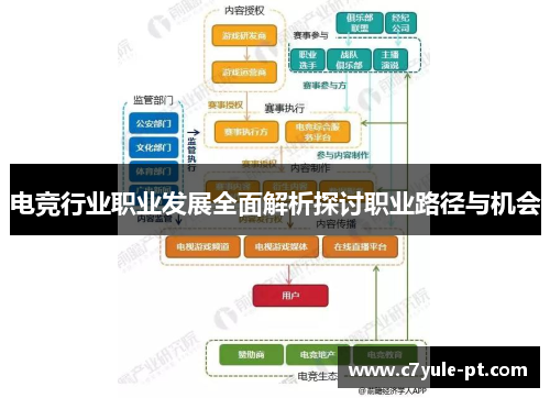 电竞行业职业发展全面解析探讨职业路径与机会