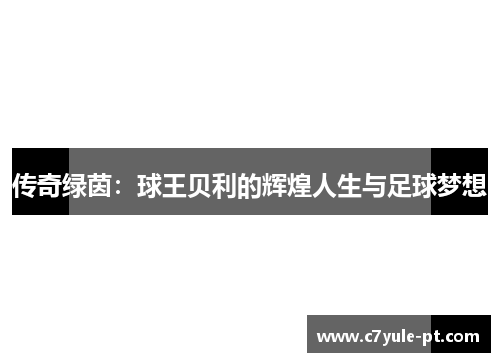 传奇绿茵：球王贝利的辉煌人生与足球梦想