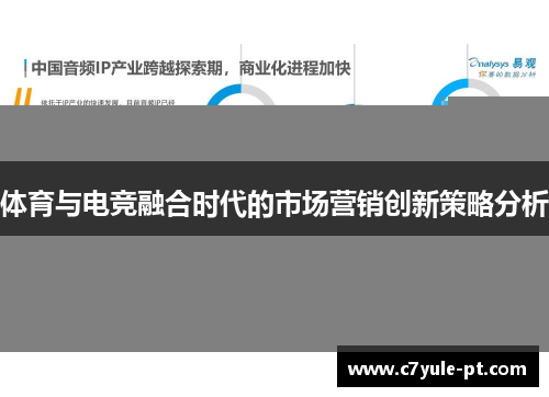 体育与电竞融合时代的市场营销创新策略分析