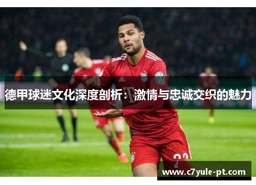 德甲球迷文化深度剖析：激情与忠诚交织的魅力